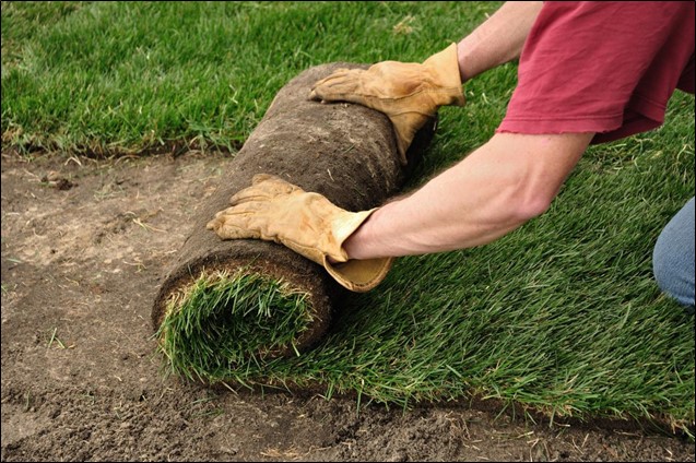 Advantages of Laying Sod