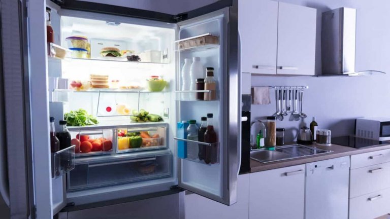 Best Propane Refrigerators for Keeping Fresh Food and Drinks