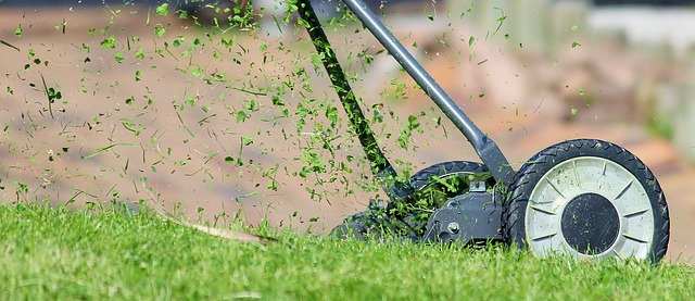 How Often to Mow Lawn Areas Spring, Summer, Fall Lawn Chick