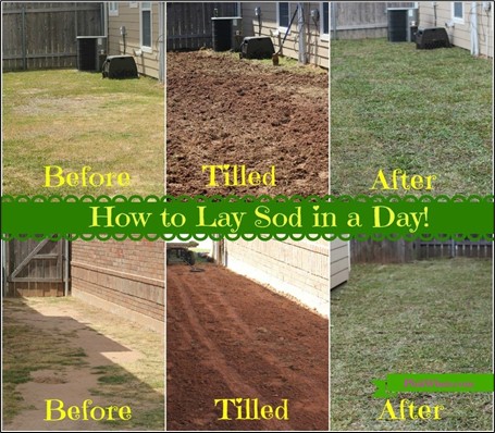 How to Lay Sod