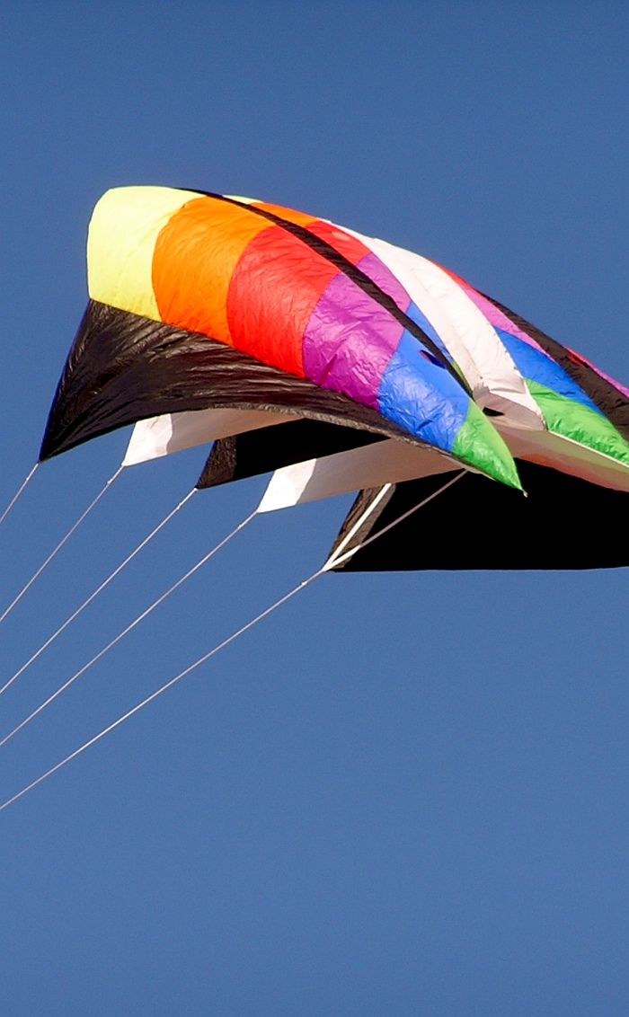 Types Of Kites And How To Fly Them Eathappyproject