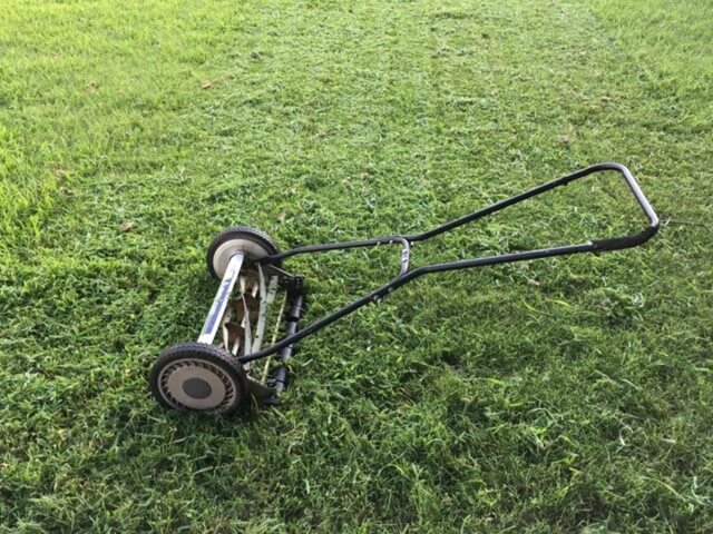 Push Mower vs Self Propelled Mower [Which to Choose]