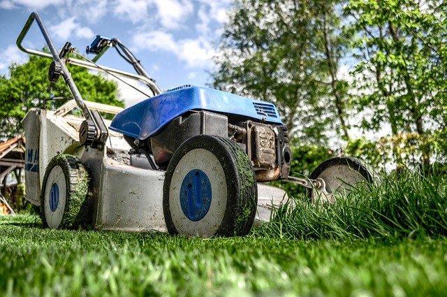 A tractor in the grass Description automatically generated with low confidence