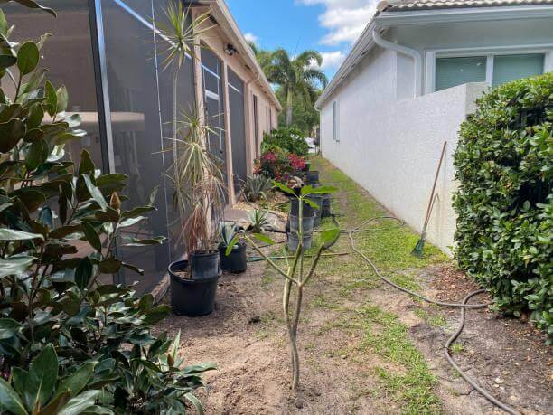 Series: Cleaning a bed for landscaping Boynton Beach, United States, April 7, 2021:New landscaping is taking place on the side of a single family home next to a lanai with a screen enclosure. Beds have been cleared for the new trees and shrubs that are being planted. real estate hawaii stock pictures, royalty-free photos & images