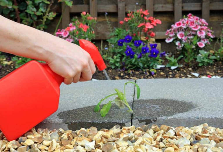 How to Use Weed Killer: Tips For Beginner Gardeners