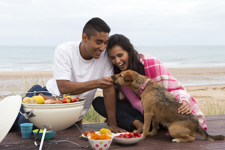 A dog sitting next to a plate of food. Dogs can eat certain types of human food,