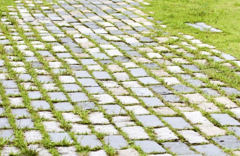 How to Clean Sidewalk without Killing Grass