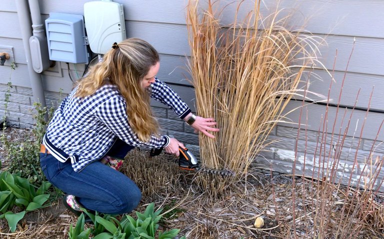 When to Cut Ornamental Grass